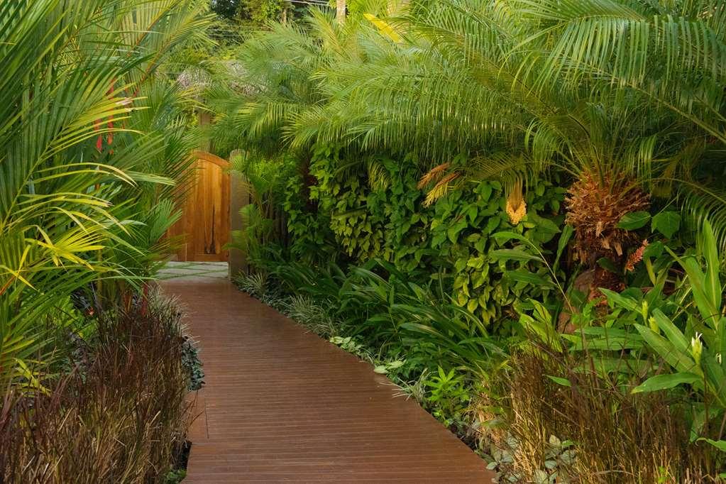 Casa Chameleon Hotel Mal Pais - Adults Only Playa Santa Teresa  Faciliteter billede