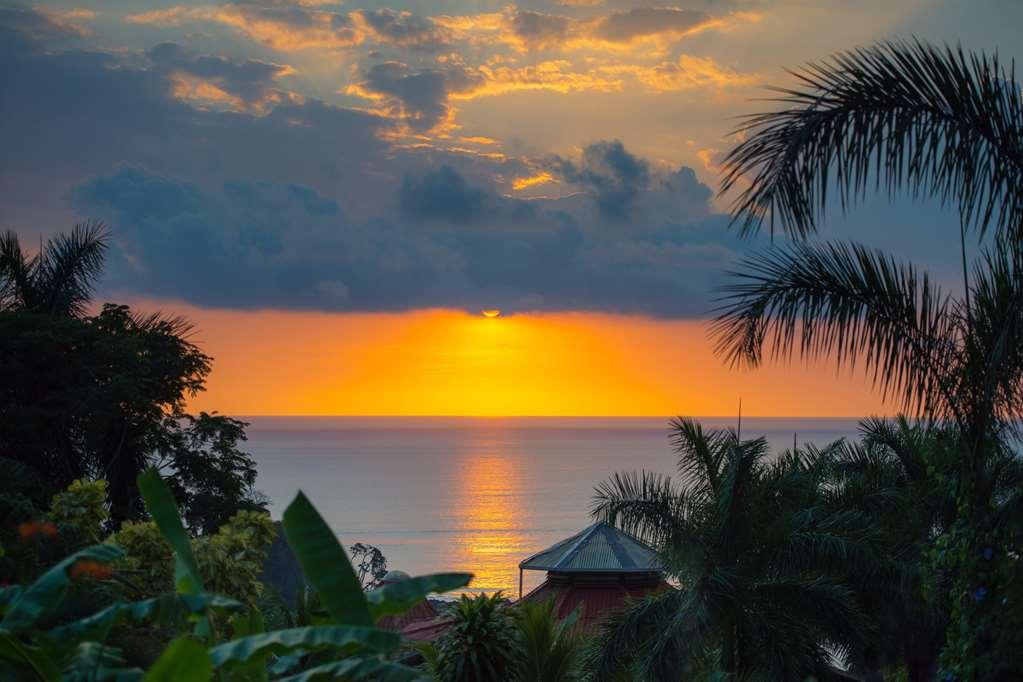 Casa Chameleon Hotel Mal Pais - Adults Only Playa Santa Teresa  Faciliteter billede